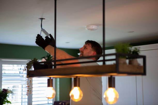 Best Electrician for Home Renovation  in South Brooksville, FL